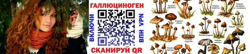 продажа наркотиков  Краснослободск  Псилоцибиновые грибы прущие грибы 
